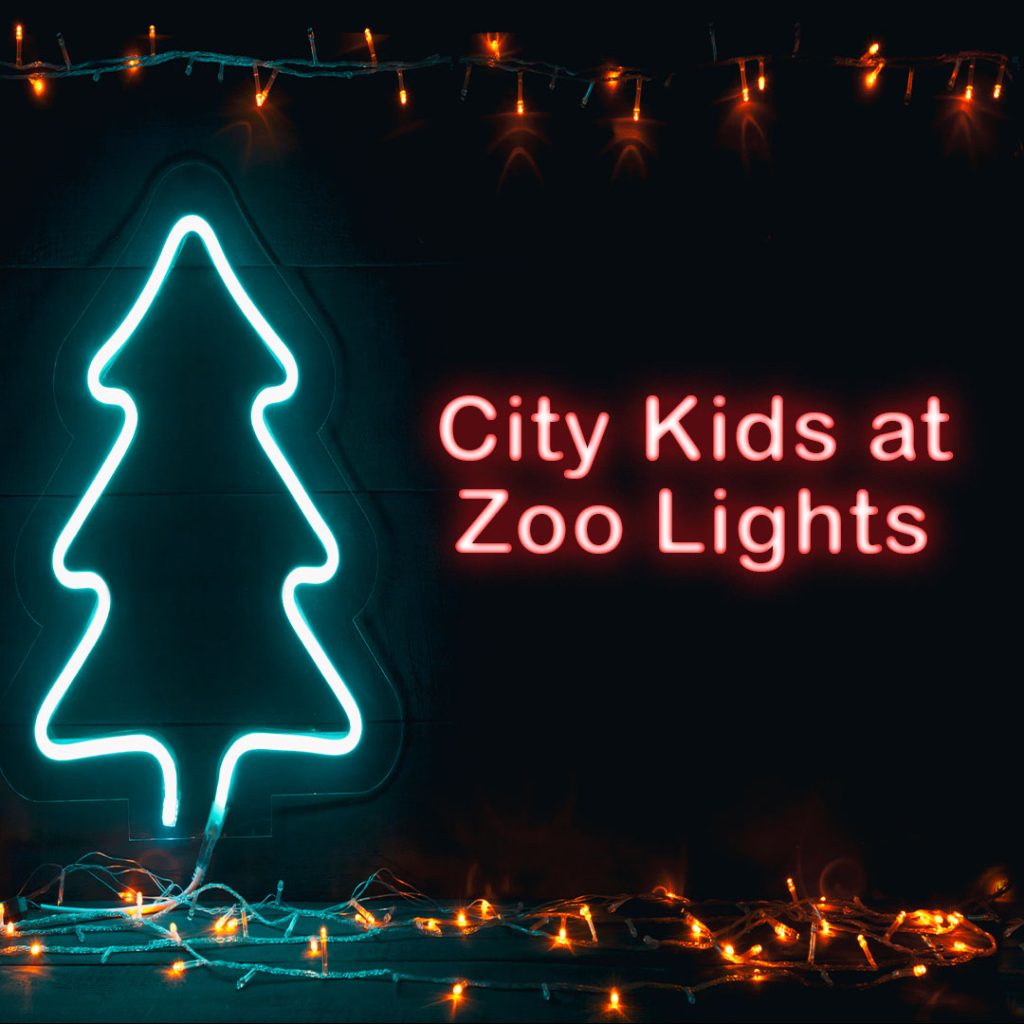 CK Christmas Zoo SQR